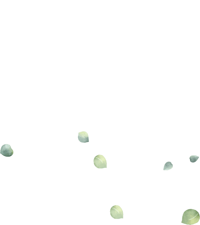 bg3